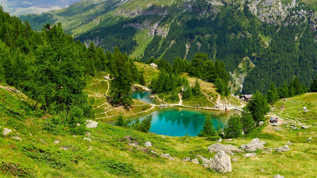 Scenic Swiss landscape with lake and mountains for newsletter section